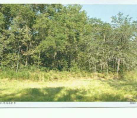 21717 County Line Rd Rd., Lutz, FL 33549