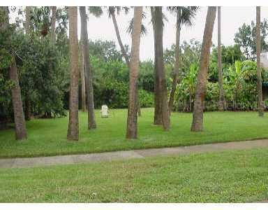 413 Paloma #b Pl Pl., Tampa, FL 33609