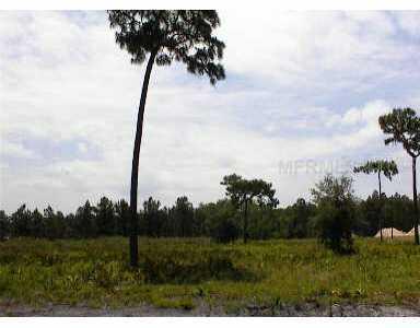 15 Woodleaf Blvd., Wesley Chapel, FL 33544