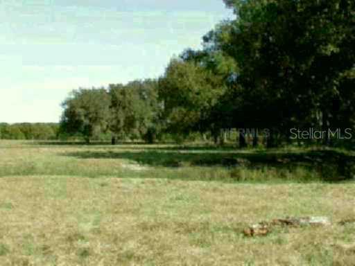 4001 Knights Griffin Rd., Plant City, FL 33565