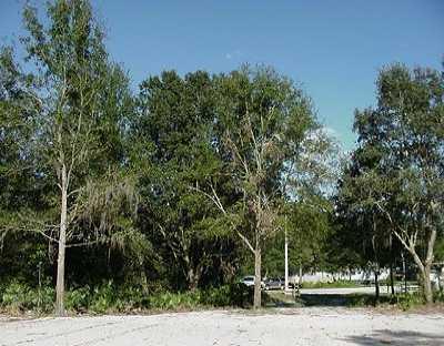 2401 Heather Manor Ln., Lutz, FL 33558