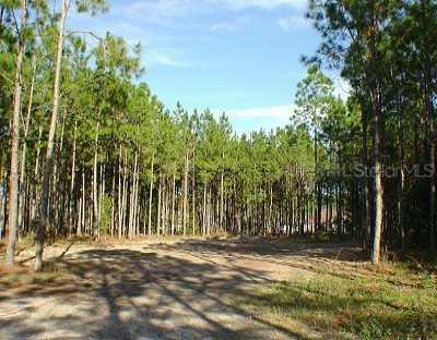 18807 Annelis Dr., Lutz, FL 33548