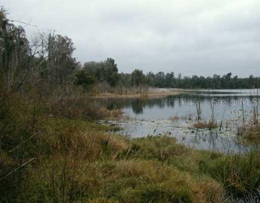 Cypress Cove Rd., Lutz, FL 33549
