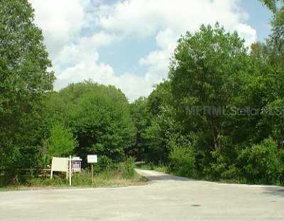 2402 Heather Manor Ln., Lutz, FL 33549