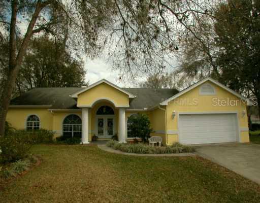 17003 Amber Lake Ct., Lutz, FL 33549
