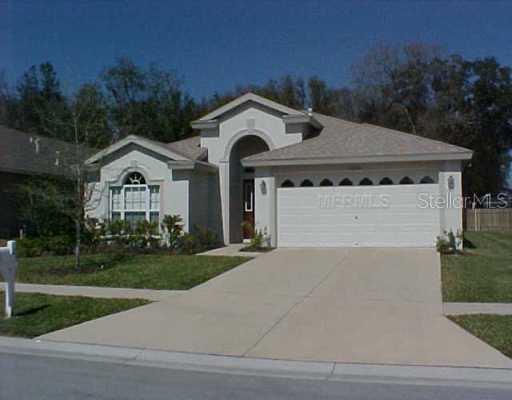 10526 San Travaso Dr., Tampa, FL 33647