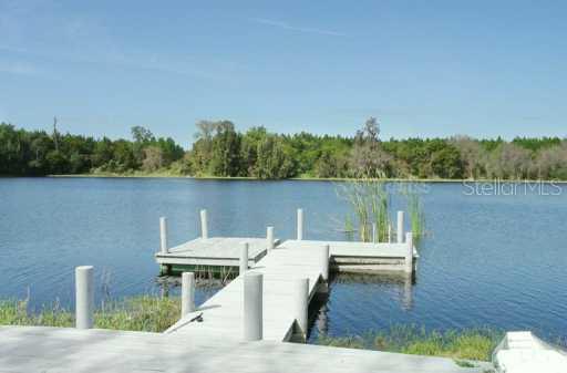 1405 Julie Lagoon, Lutz, FL 33549
