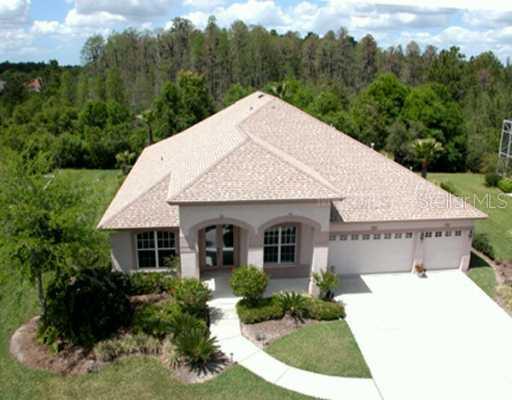 18610 Chemille Dr., Lutz, FL 33558