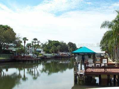 3908 Dana Shores Dr., Tampa, FL 33634