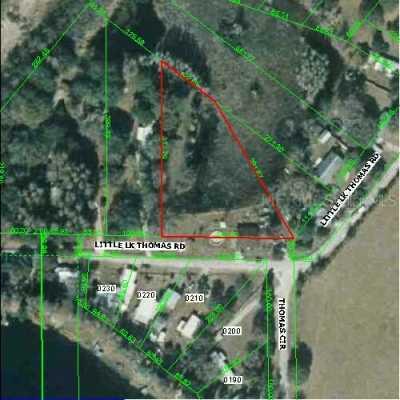 21107 Little Lk Thomas Rd., Land O Lakes, FL 34639