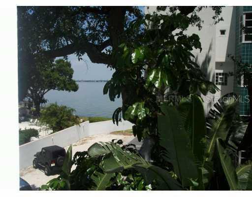 4950 Bayshore Blvd. #10, Tampa, FL 33611