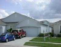 30208 Lettingwell Creek, Wesley Chapel, FL 33543
