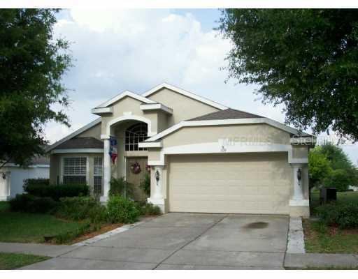 309 Crystal Goblet Ct., Valrico, FL 33594