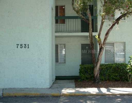 7531 Pitch Pine Cir., Tampa, FL 33617