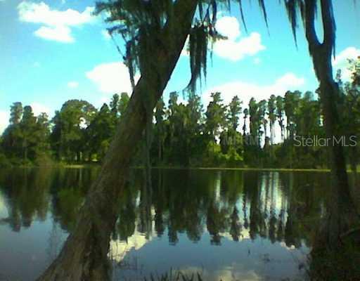 18803 Merry Ln., Lutz, FL 33548