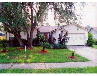 3914 Bell Grande Dr., Valrico, FL 33594