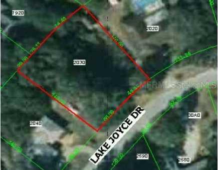 3905 Lake Joyce Dr., Land O Lakes, FL 34639