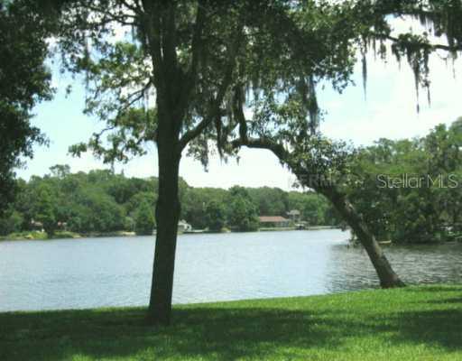 5004 Puritan Cir. #921, Tampa, FL 33617