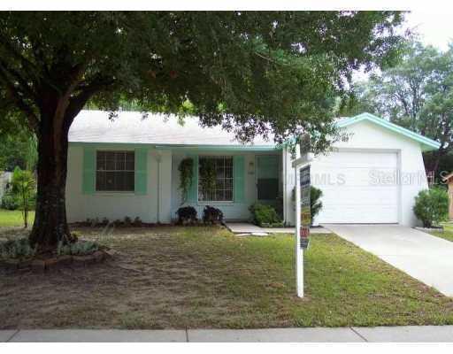 2236 Selkirk St., Valrico, FL 33594