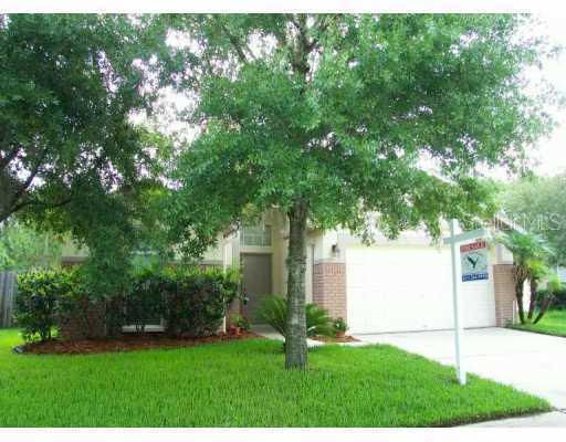 28622 Tall Grass Dr., Wesley Chapel, FL 33543