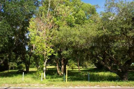 704 Mulrennan Rd., Valrico, FL 33594