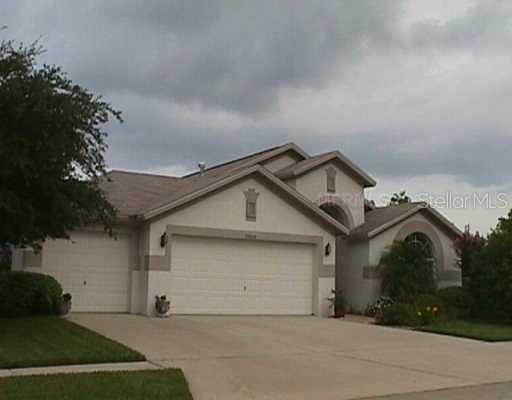 30059 Morningmist Dr., Wesley Chapel, FL 33543