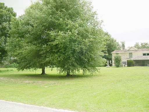 3220 Lois Ct., Land O Lakes, FL 34639