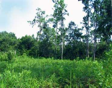 18901 Lake's Edge Way Way, Odessa, FL 33556