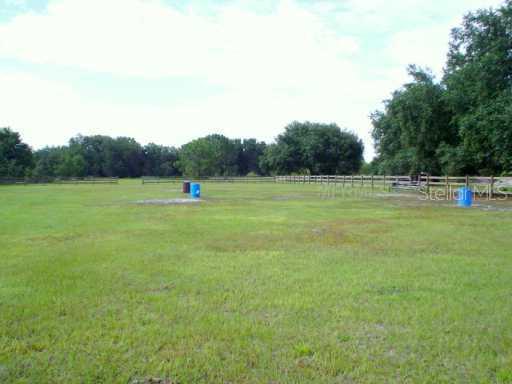 Knights Griffin Rd., Plant City, FL 33565