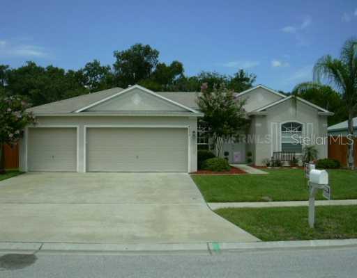 4533 River Overlook Dr., Valrico, FL 33594