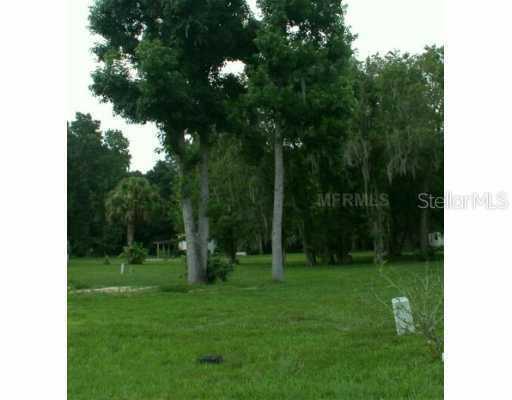 53 Outlet, Lake Panasoffkee, FL 33538