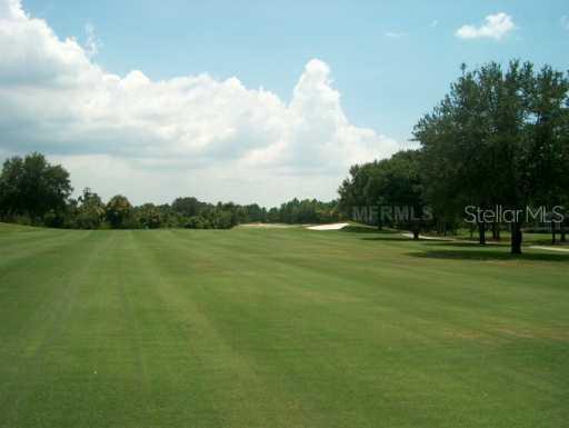 3336 Stonebridge Tr., Valrico, FL 33594