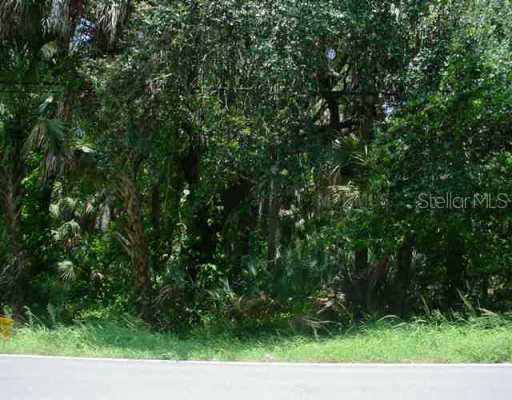 S 78 Th St., Riverview, FL 33578