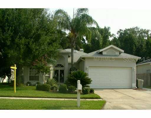 28439 Openfield Loop, Wesley Chapel, FL 33543