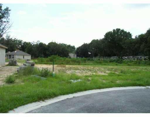 6930 Wildwood Oak Dr., Tampa, FL 33617