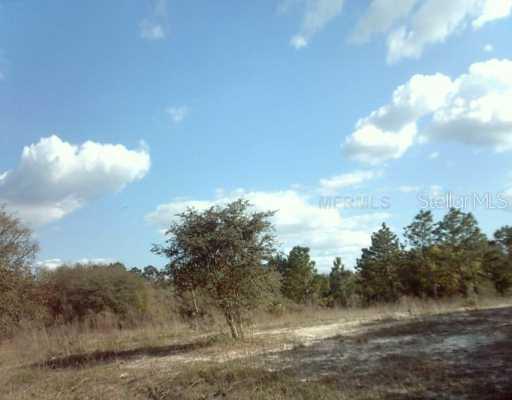 3503 Riverdale Dr., Ridge Manor, FL 33523