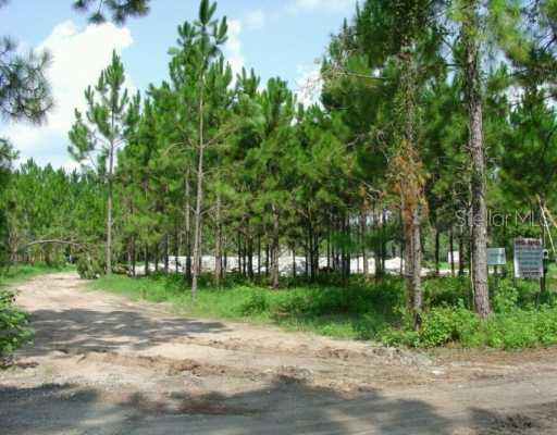 18808 Annelis Dr., Lutz, FL 33548