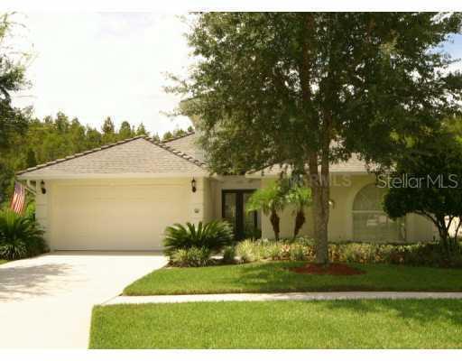 5536 Avenue Du Soleil, Lutz, FL 33558