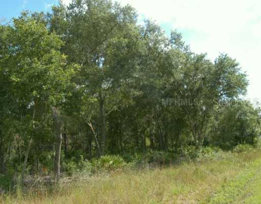 2912 Wild West Ln., Wimauma, FL 33598