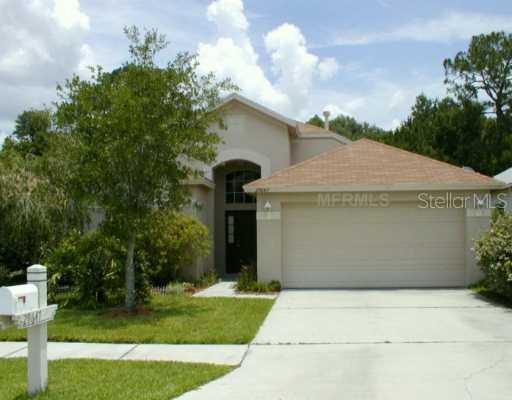 29647 Birds Eye Dr., Wesley Chapel, FL 33543