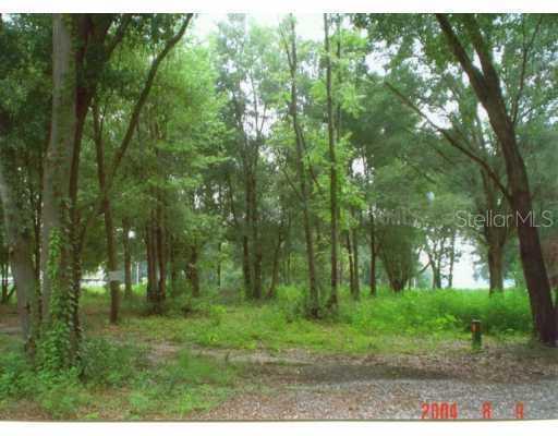 13302 Sullivan Manor Ct., Dover, FL 33527