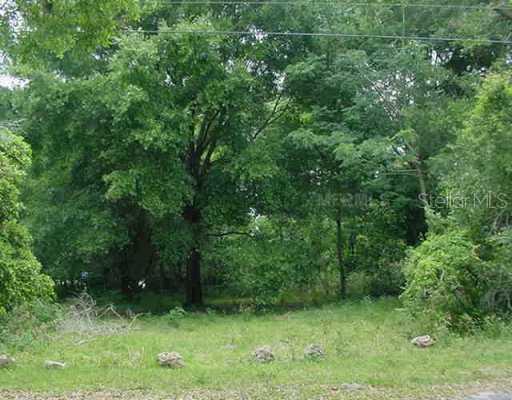 13268 Glen Harwell Rd., Dover, FL 33527