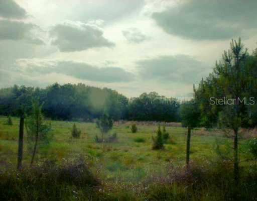 Bailey Rd., Plant City, FL 33565