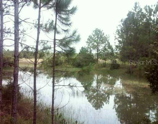 Alloy St., Ridge Manor, FL 33523