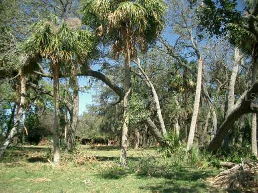 8907 Key West Island Way, Riverview, FL 33578