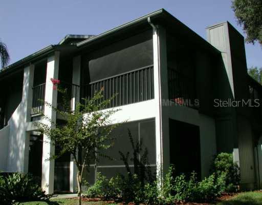 14550 Bruce B Downs Blvd., Tampa, FL 33613