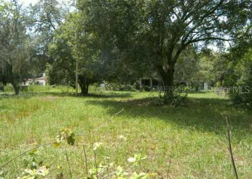 9804 Linda Pl., Tampa, FL 33610