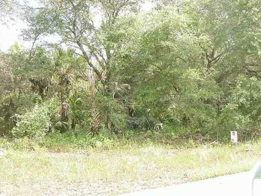 Kalsih Ave., North Port, FL 34286