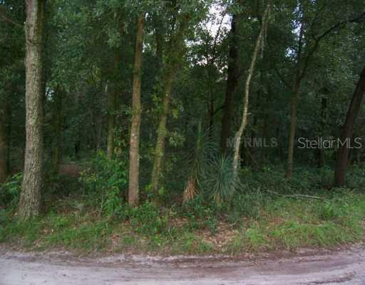 11th Ave., Zephyrhills, FL 33542