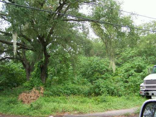 302 Virginia Ave., Tampa, FL 33603